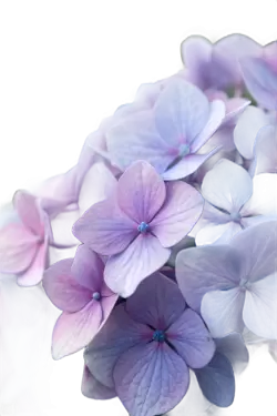 Imagen PNG para descargar